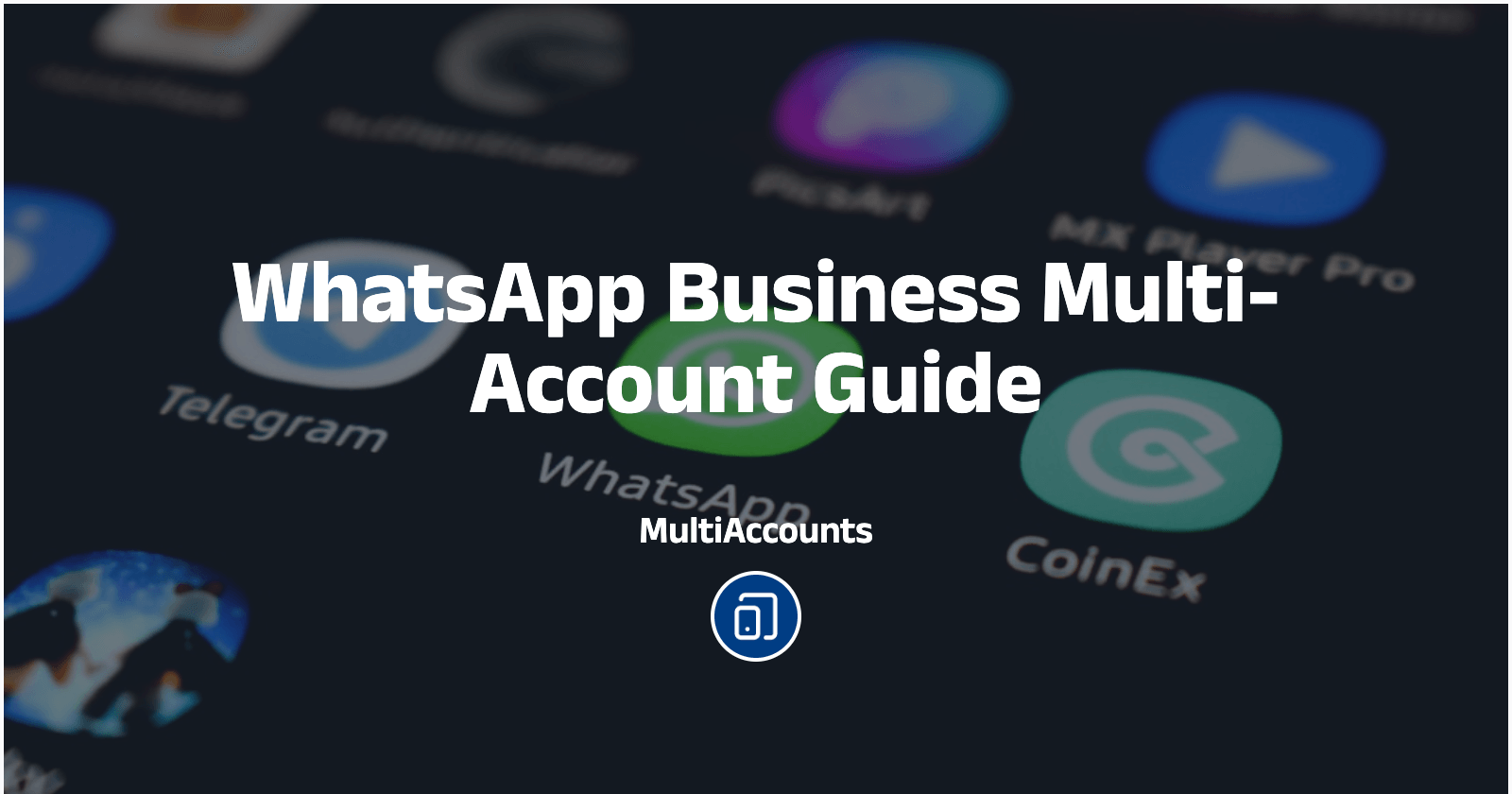 WhatsApp Business Multi-Account Guide