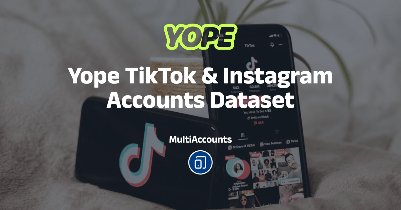 Yope TikTok & Instagram Accounts Dataset