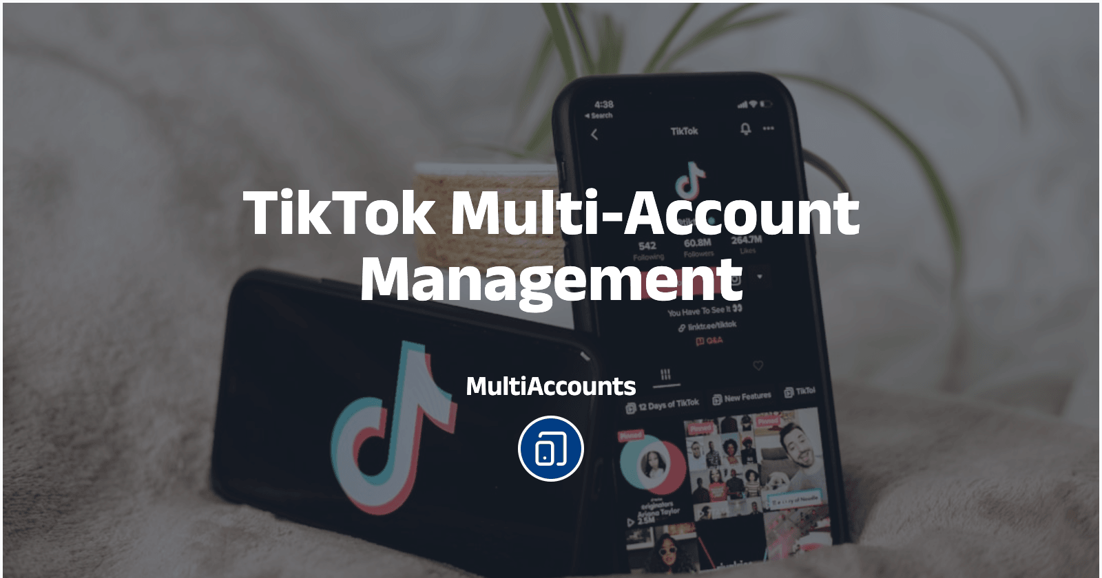 TikTok Multi-Account Management