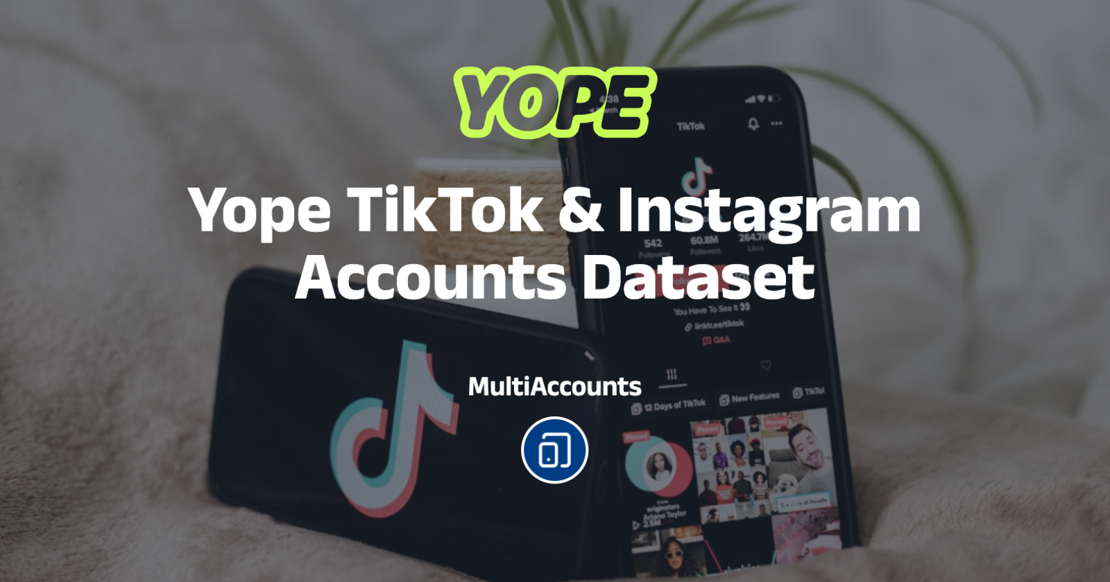 Yope TikTok & Instagram Accounts Dataset